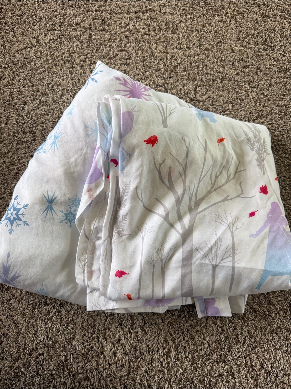 Frozen sheets